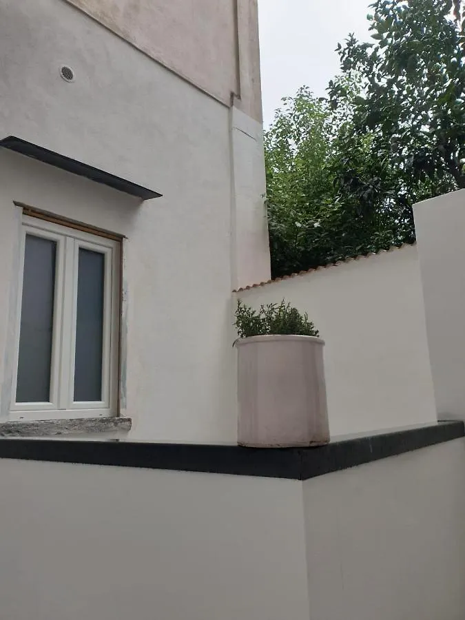 Séjour chez l'habitant Appartement 