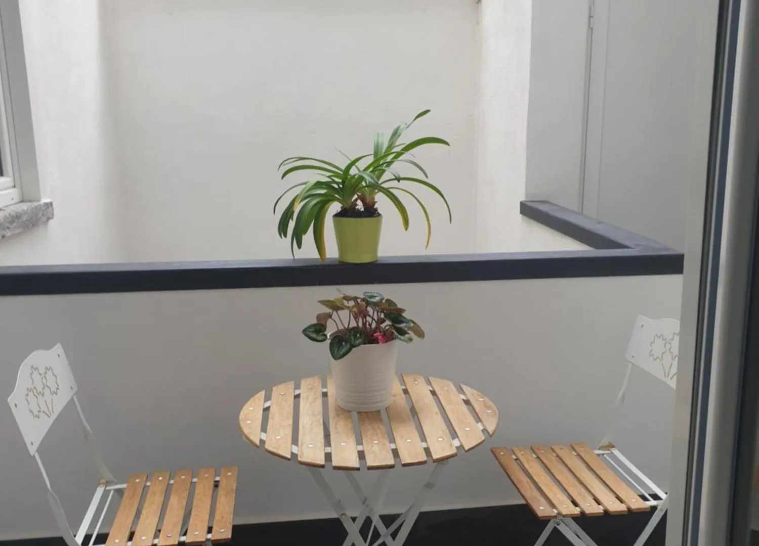 Séjour chez l'habitant Appartement 